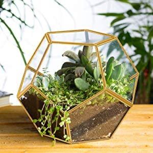 Meet your Posher, Candace